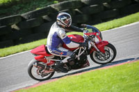 brands-hatch-photographs;brands-no-limits-trackday;cadwell-trackday-photographs;enduro-digital-images;event-digital-images;eventdigitalimages;no-limits-trackdays;peter-wileman-photography;racing-digital-images;trackday-digital-images;trackday-photos